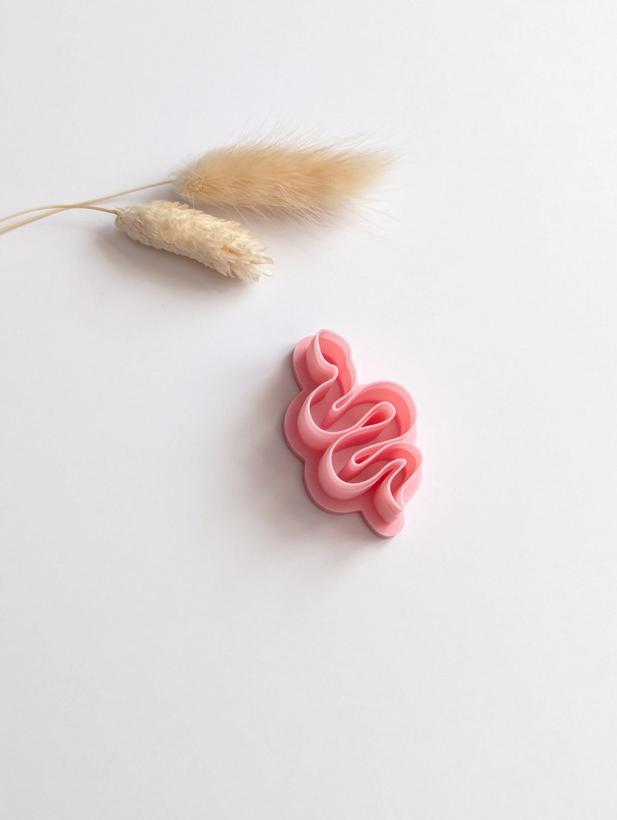 Animals and insects